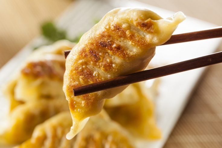 image of fried dumplings